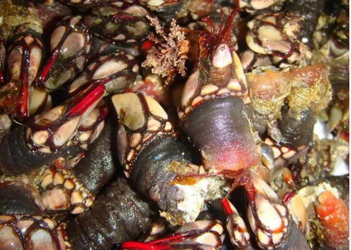 Semesterbostad Casa De La Playa